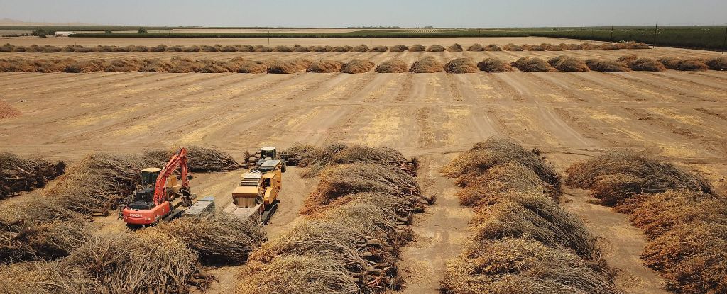 Los continentes de la Tierra se están secando a un ritmo sin precedentes, el estudio advierte: Sciencealert