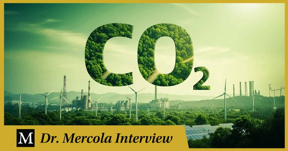 Georgi Dinkov: el papel subestimado del dióxido de carbono en la salud