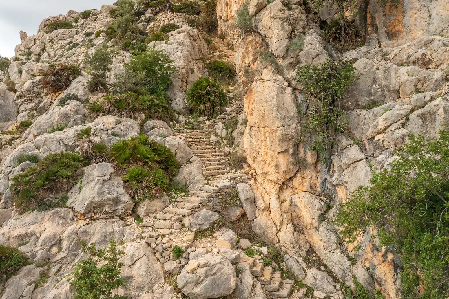 PROCHOLES OCULTOS DE España: los falsos ‘pasos árabes’ de Málaga
