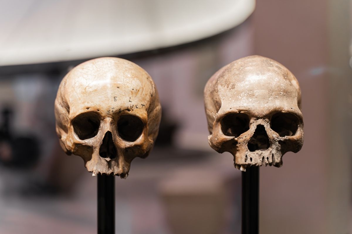 Un gen importante heredado de los denisovanos ayudó a los humanos modernos sobrevivir y propagarse