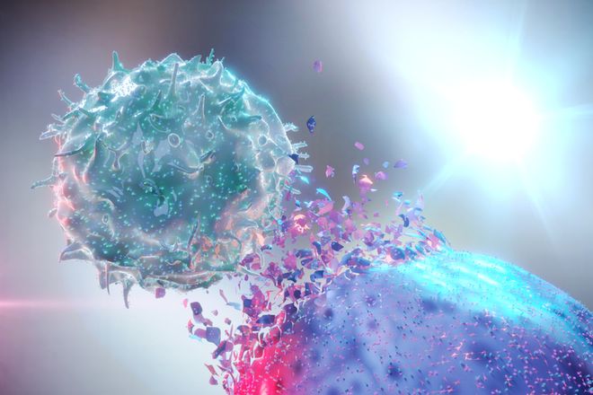 Actuando como un caballo troyano, los virus pueden usar bacterias para matar tumores desde adentro