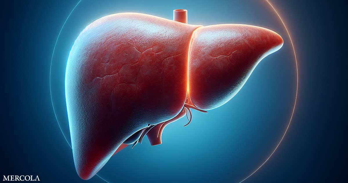 Así es lo rápido que se cura el hígado cuando dejas de beber