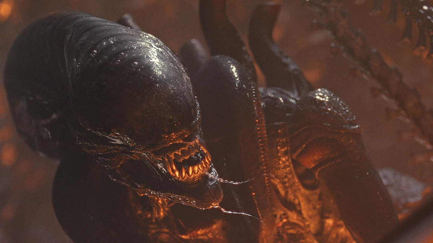 ¿Qué tan realista es el xenomorfo en ‘Alien: Earth’? Le preguntamos a un zoólogo cómo se comparan su biología y ciclo de vida con animales reales.