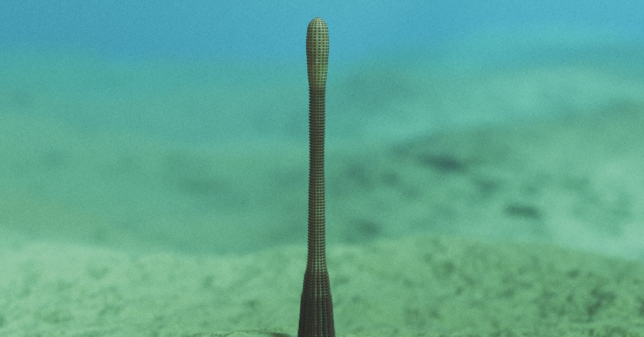 Se ha descubierto un antiguo gusano de pene con anillos de dientes afilados en el Gran Cañón
