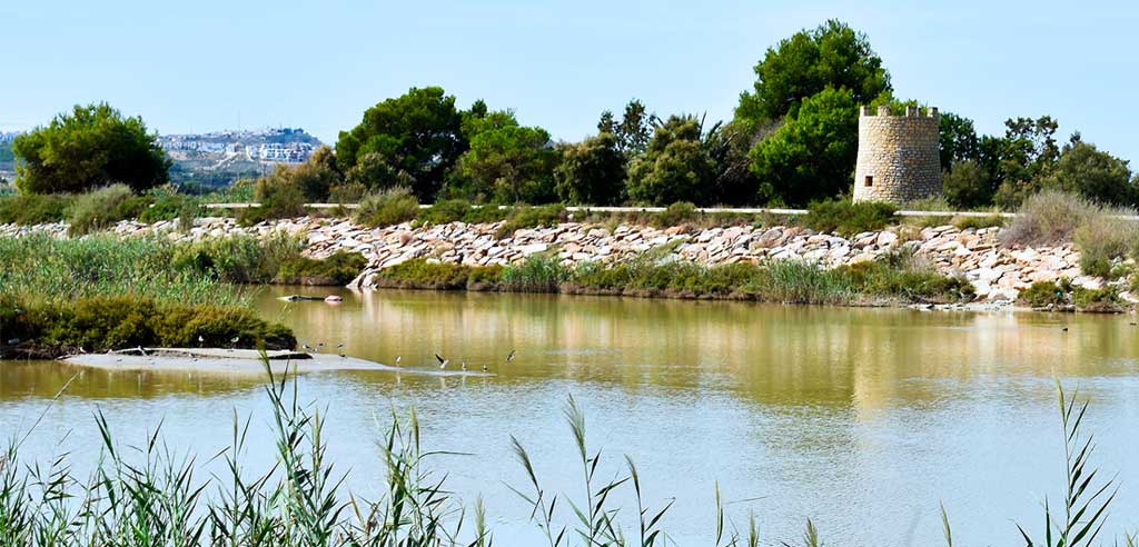 8,2 millones de euros inversiones para impulsar las defensas de las inundaciones en Azarbe del Señor en Guardamar