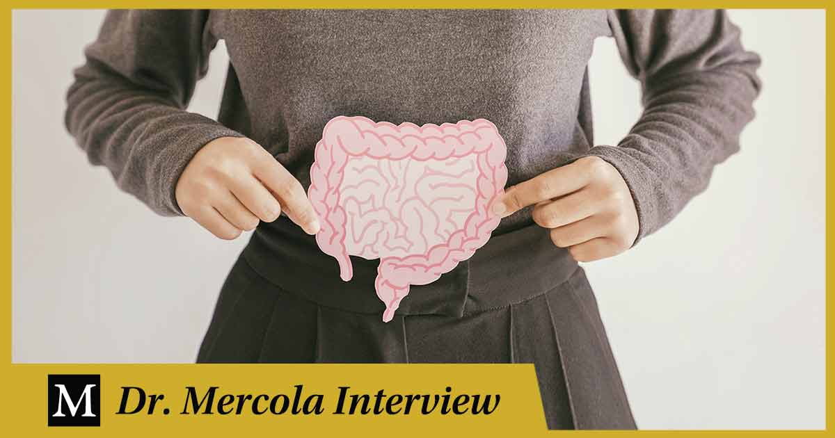 Georgi Dinkov – Cómo su microbioma influye en sus recomendaciones dietéticas