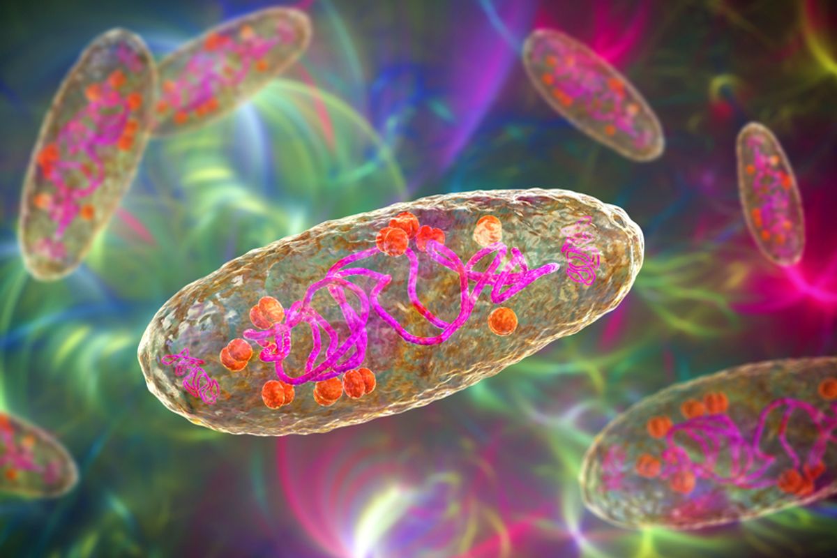La fuente de la primera pandemia de la peste de la historia se ha desenterrado en dientes enterrados