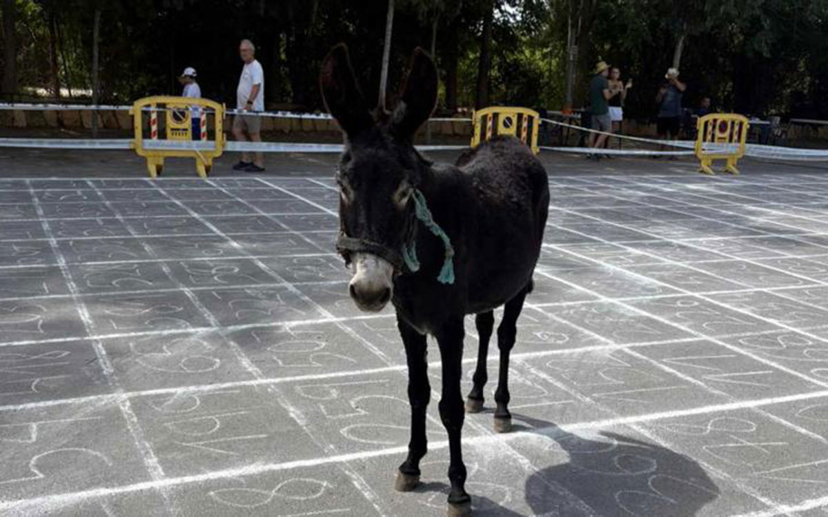 El gran sorteo de España es la caída del burro «Euro Weekly News