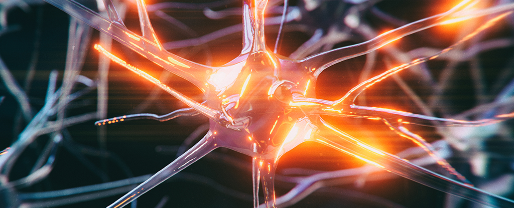 Mejor dormir podría ayudar a que su cerebro se elimine las toxinas ligadas a la demencia: Sciencealert
