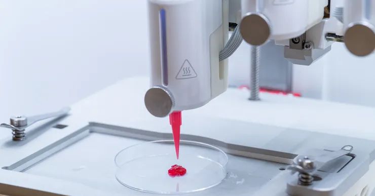 Los investigadores crean una piel artificial impresa en 3D que permite la circulación sanguínea