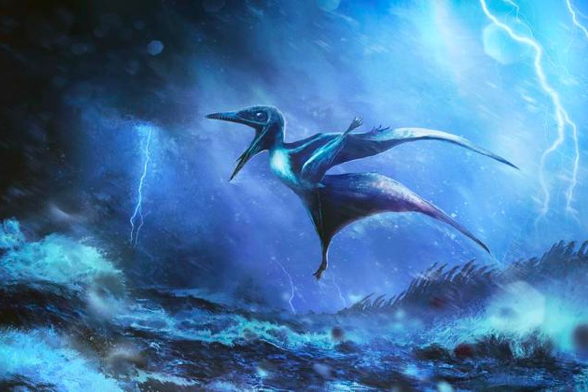 Los pterosaurios para bebés de 150 millones de años con alas rotas ayudan a resolver un misterio de dinosaurios centenarios