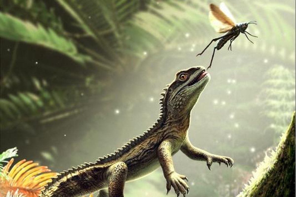 Un fósil de 242 millones de años ha alterado drásticamente la historia de la evolución de la lagarto