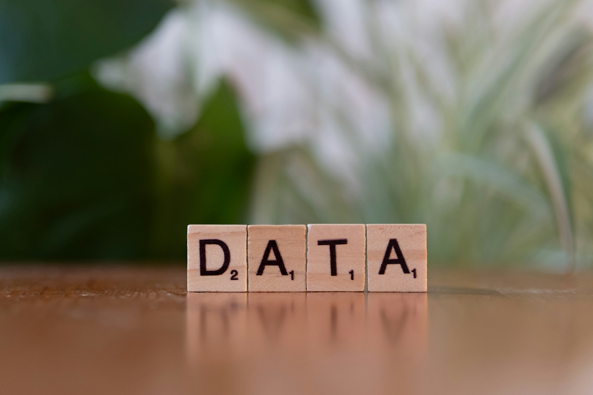 The Generalist: ¿El nuevo tipo de profesional de datos de todo el tipo?