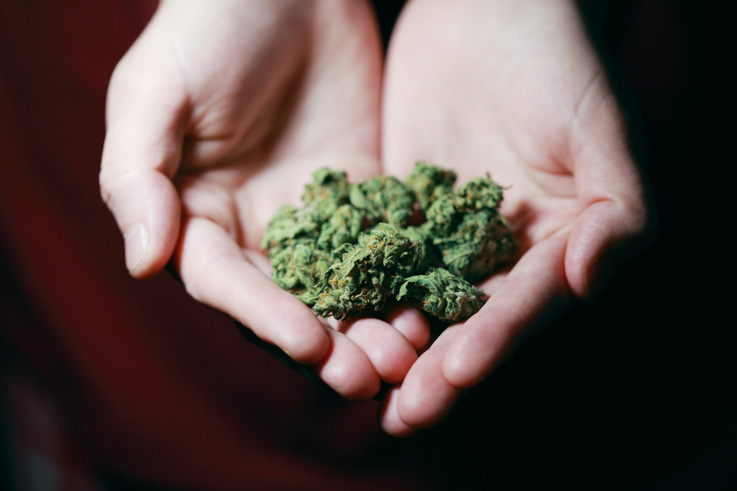 Los funcionarios locales dan la bienvenida a la inversión de Cannabis Brand en Middletown